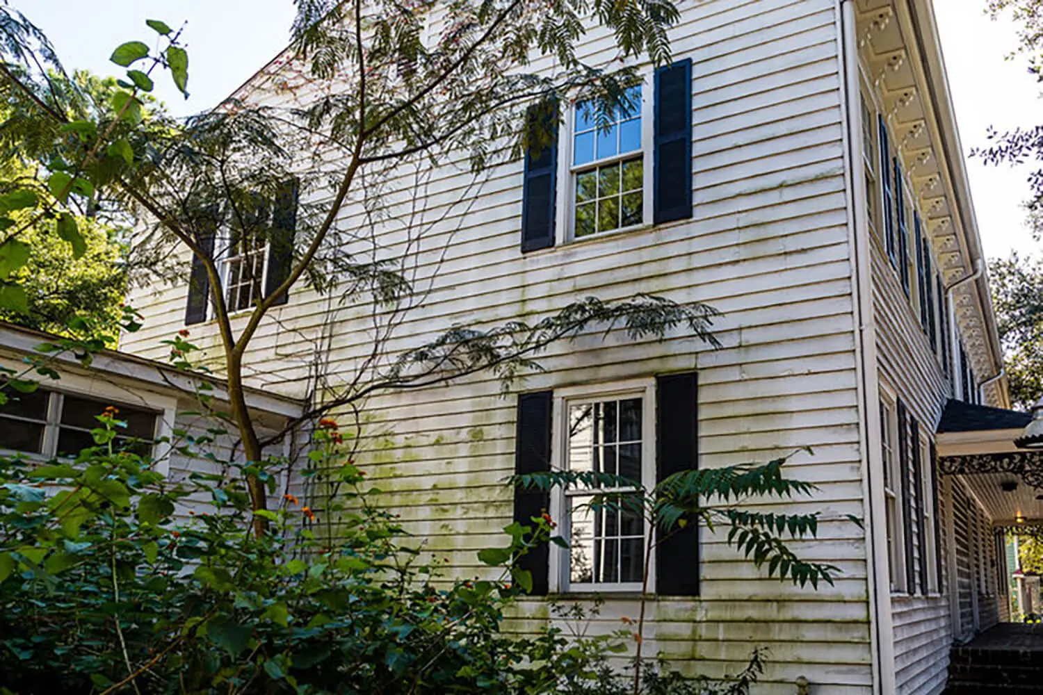 Weathered house exterior with mildew staining and failing paint on white siding